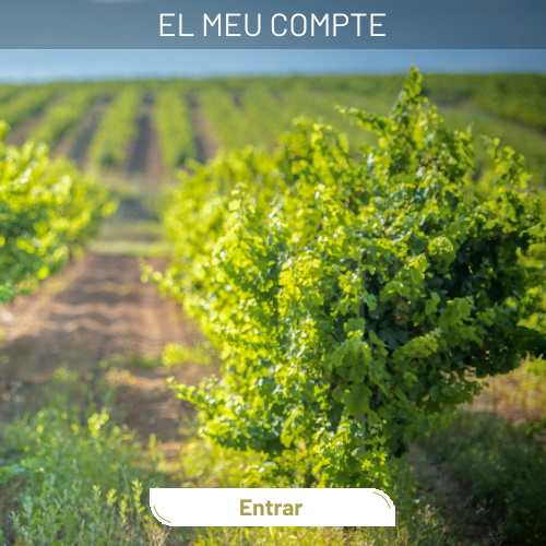 Mi cuenta